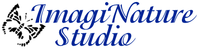 ImagiNature Studio Logo